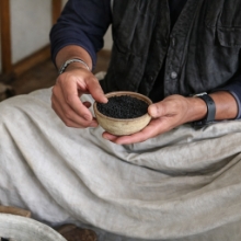 安全性・品質 へのこだわり