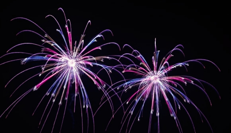 作品ギャラリー